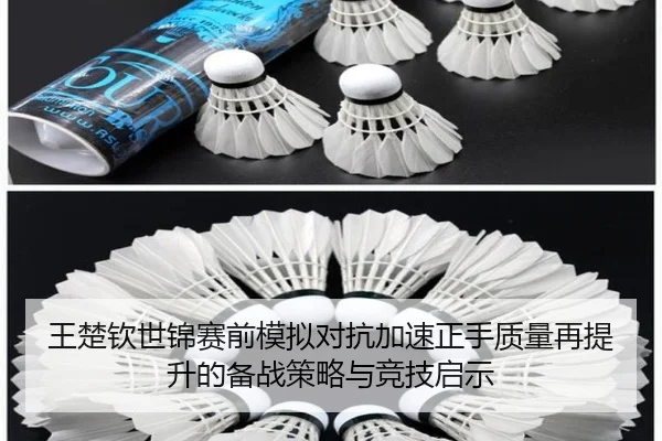 王楚钦世锦赛前模拟对抗加速正手质量再提升的备战策略与竞技启示